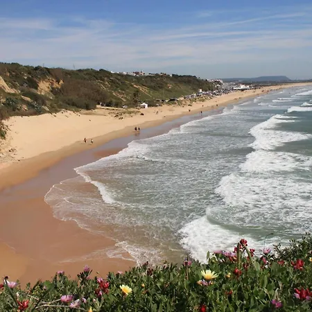 Estudio En El Centro De Conil
