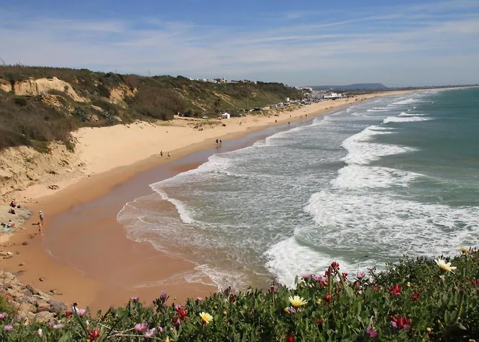 Estudio En El Centro De Conil